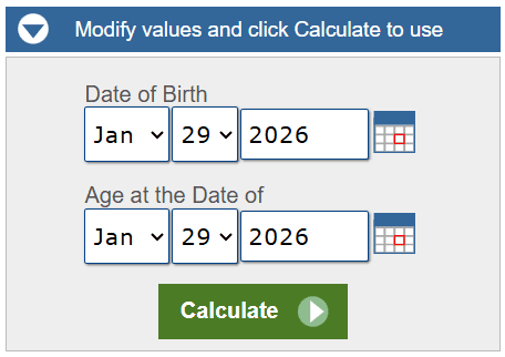age calculator