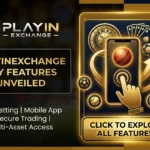 PlayinExchange features interface and overview